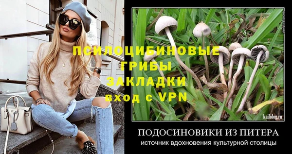ALPHA PVP Кулебаки